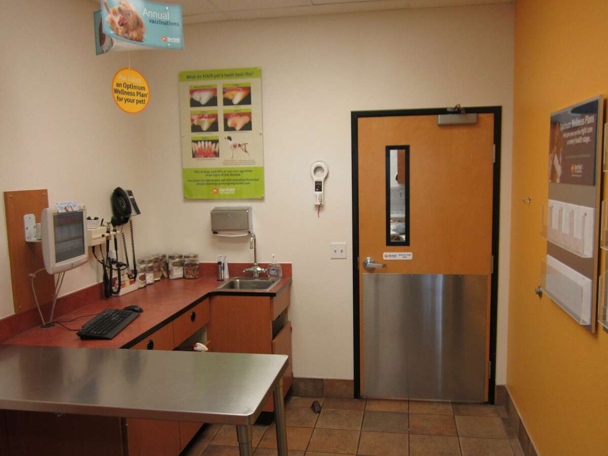 An alternate view of the Folsom Banfield exam room