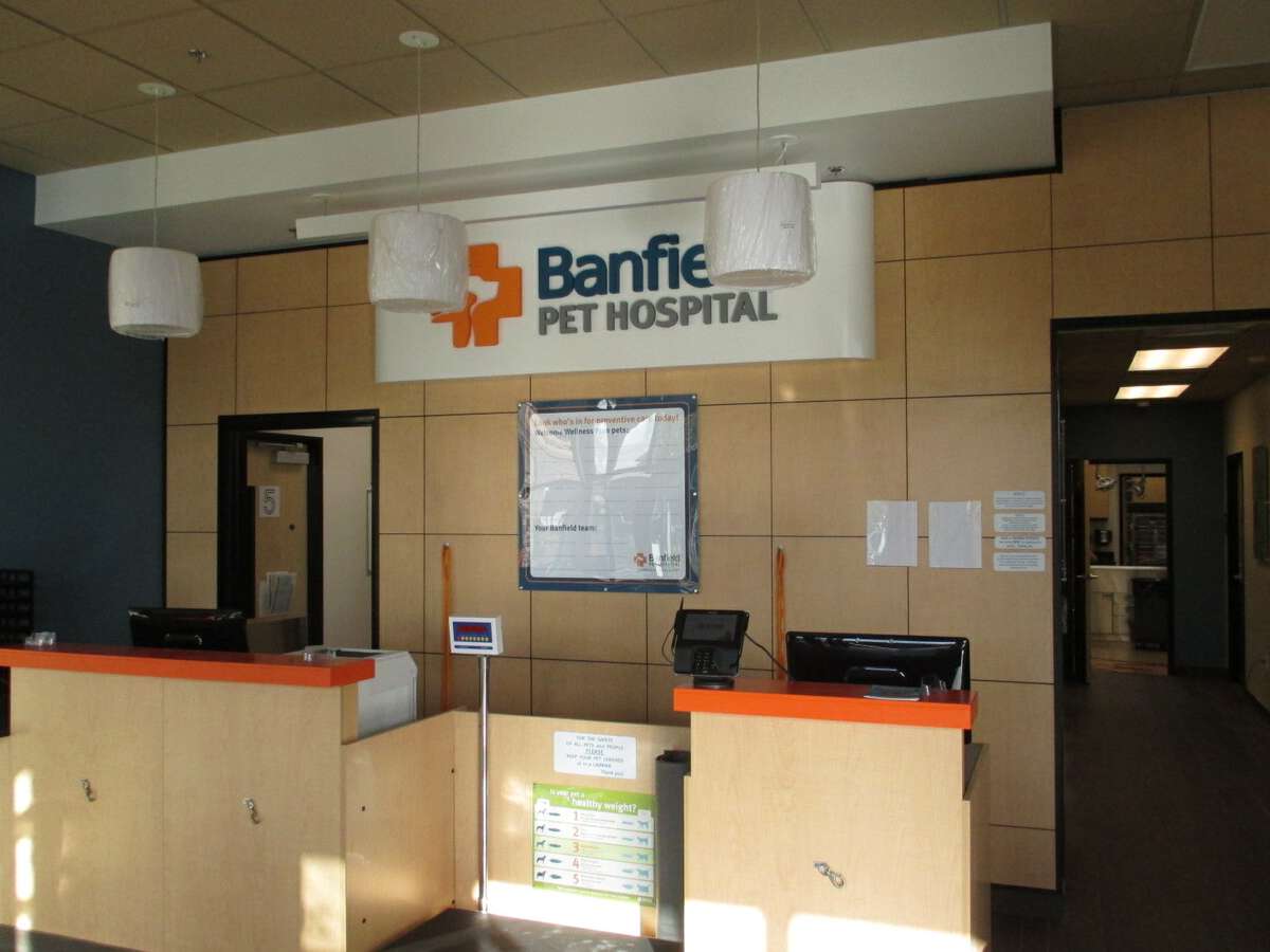 The Fair Oaks Banfield front desk and check-in area