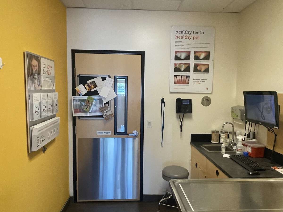 An alternate view of the Antelope Banfield exam room and table