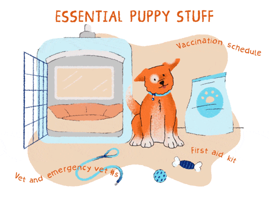 Illustration of an orange puppy surrounded by puppy supplies