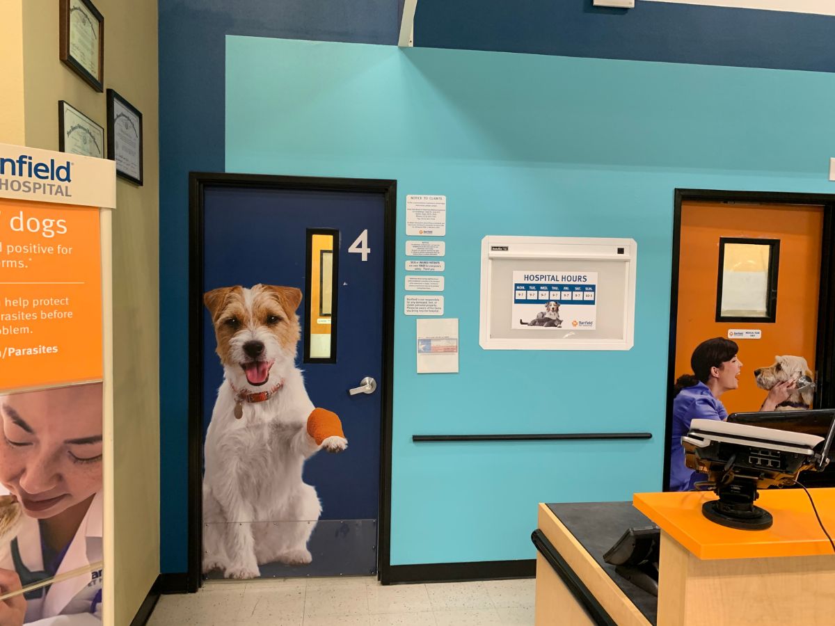 The Banfield - Austin SE front desk and exam room