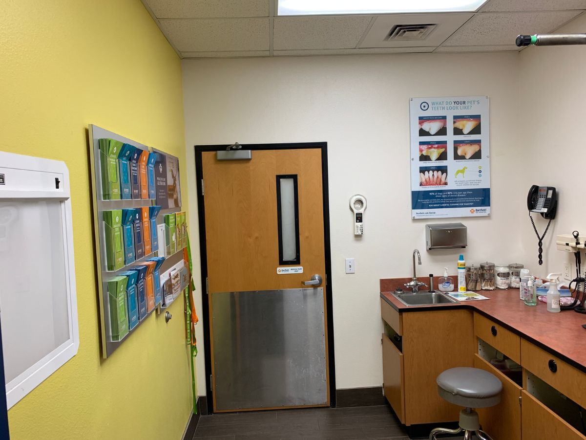 The Banfield Pet Hospital: Bee Cave exam room