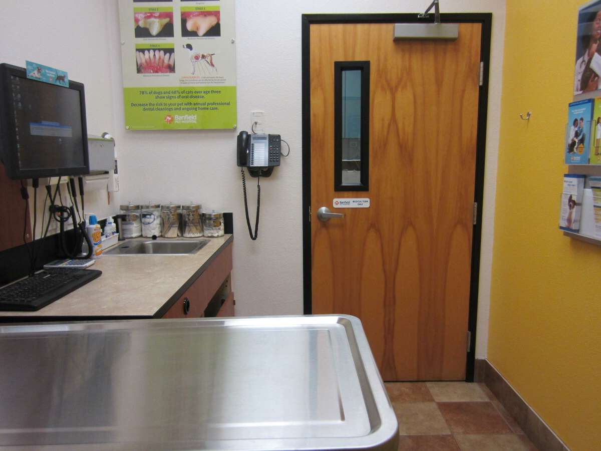 The Cedar Park Banfield exam room and folding table