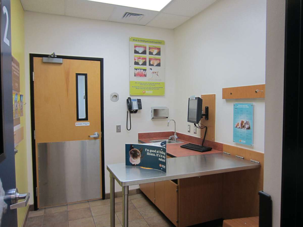 A view of the New Braunfels Banfield exam room