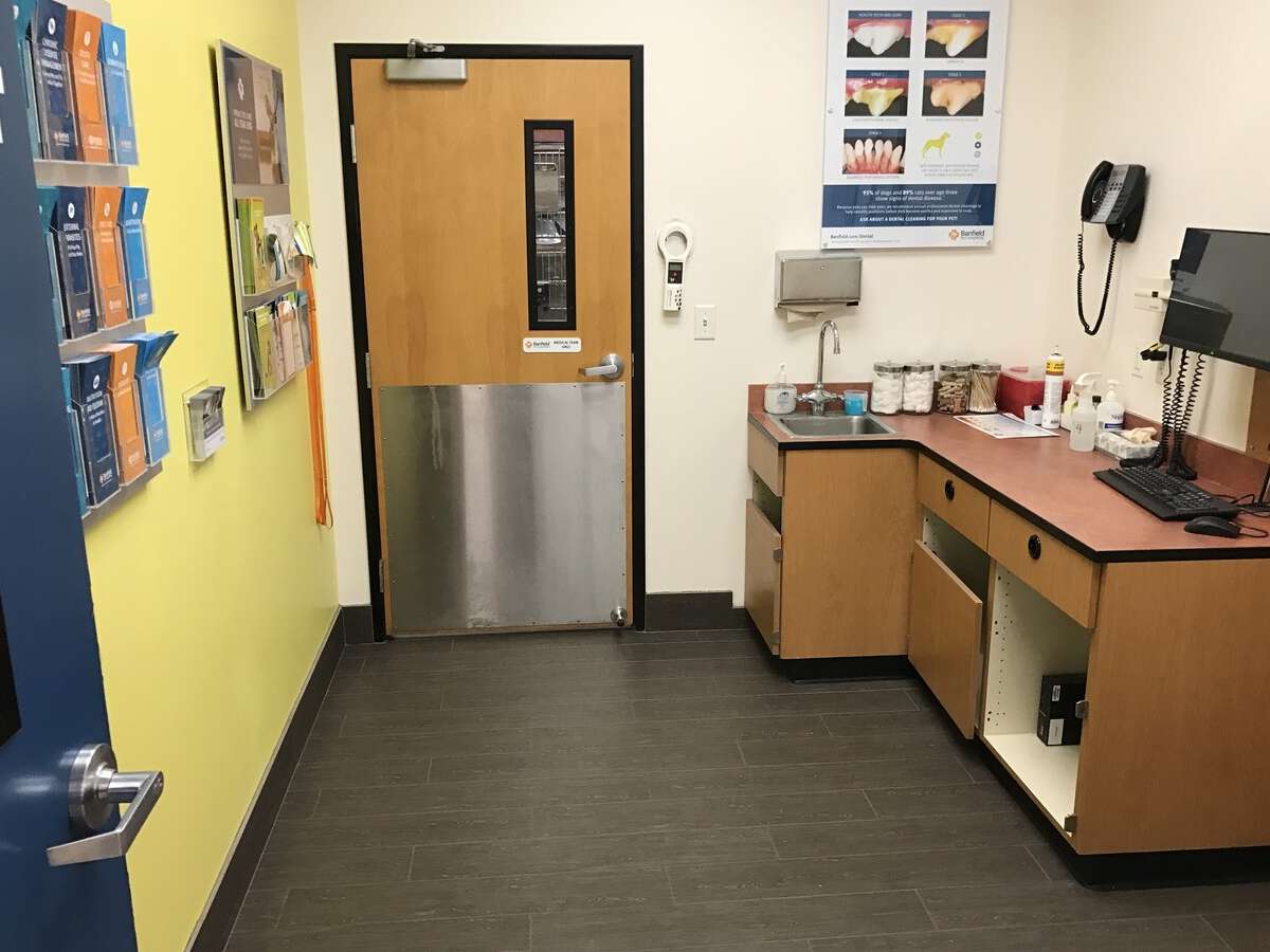 An alternate view of the Banfield College Station exam room and computer