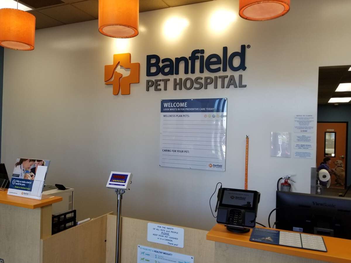 The Round Rock Palm Valley Banfield hospital scale and front desk