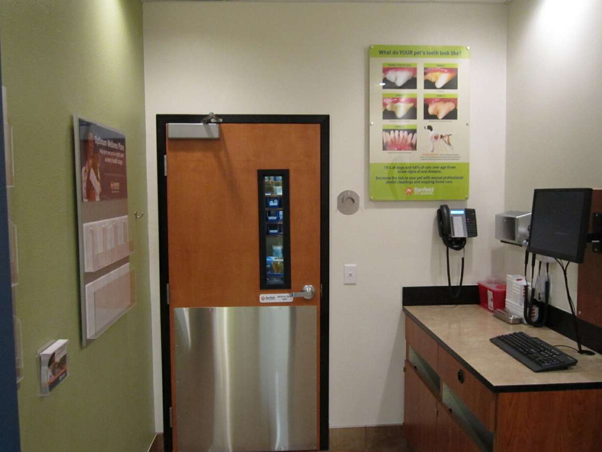 An alternate view of the Phoenix N Banfield exam room