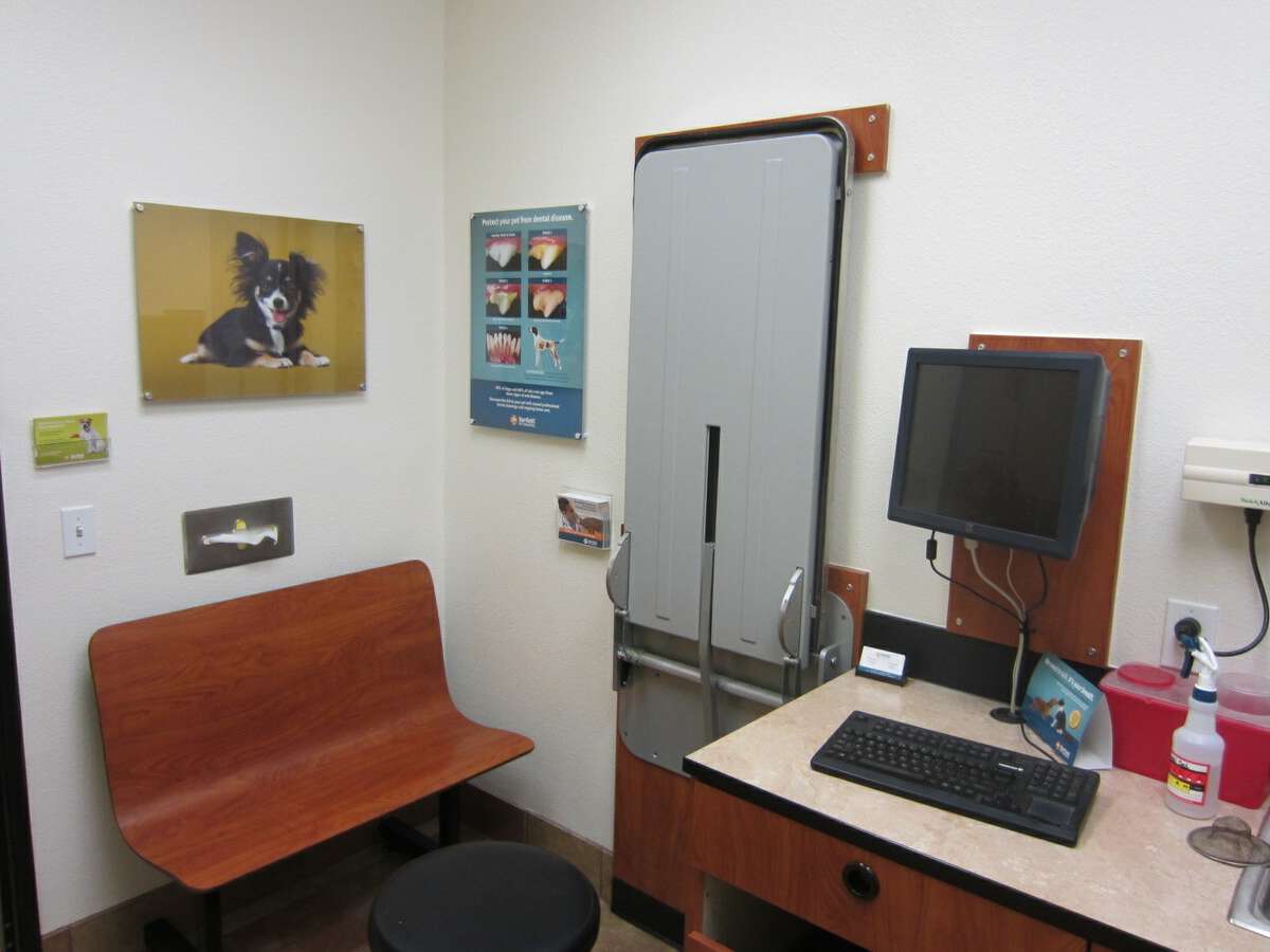 A view of the Glendale Banfield exam room and table