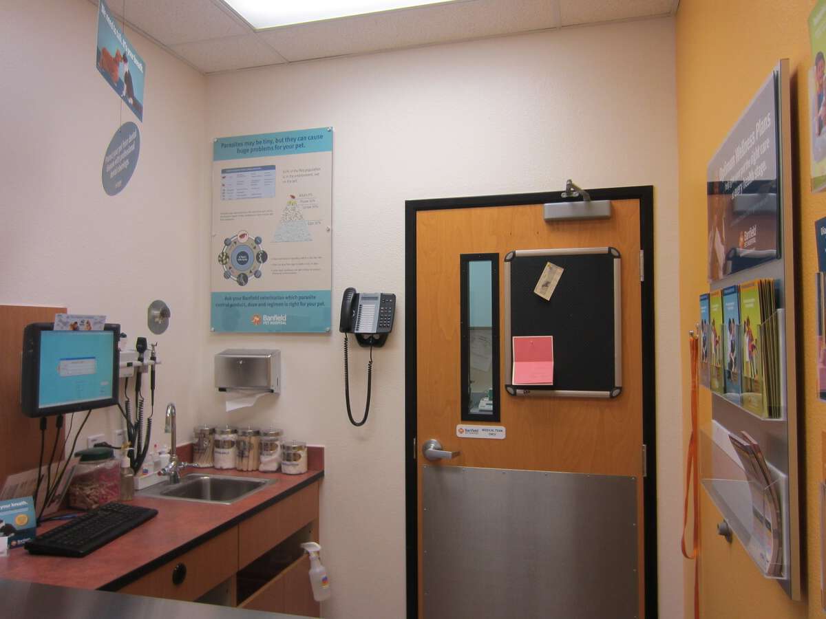 A view of the Deer Valley Banfield exam room