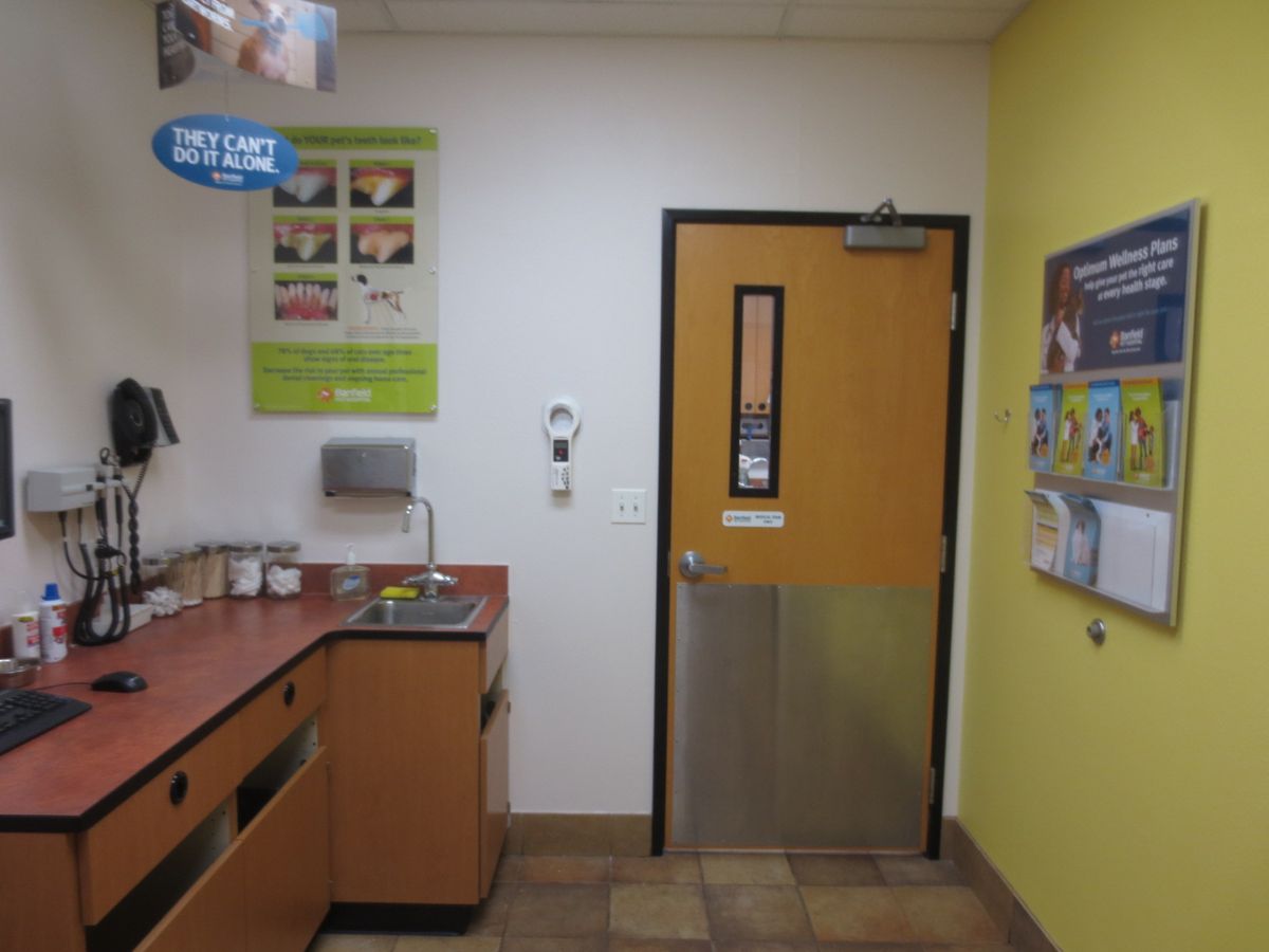 The Banfield - Plainfield Naperville exam room