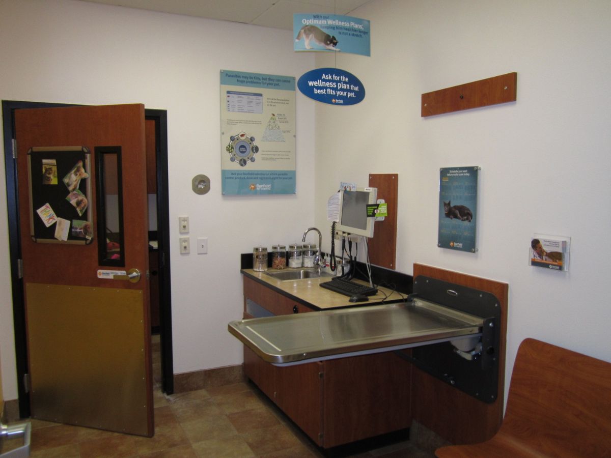 The Crestwood Banfield hospital exam room and table