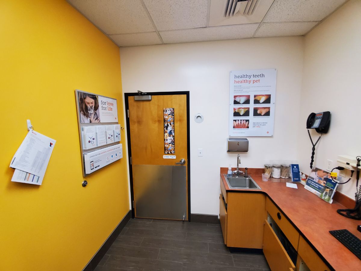 An alternate view of the Medina Banfield exam room