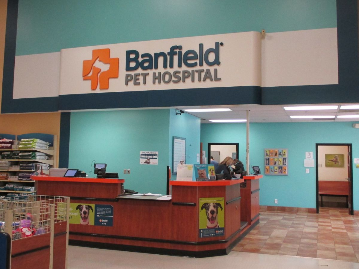 The front desk at the Banfield - Cuyahoga Falls hospital
