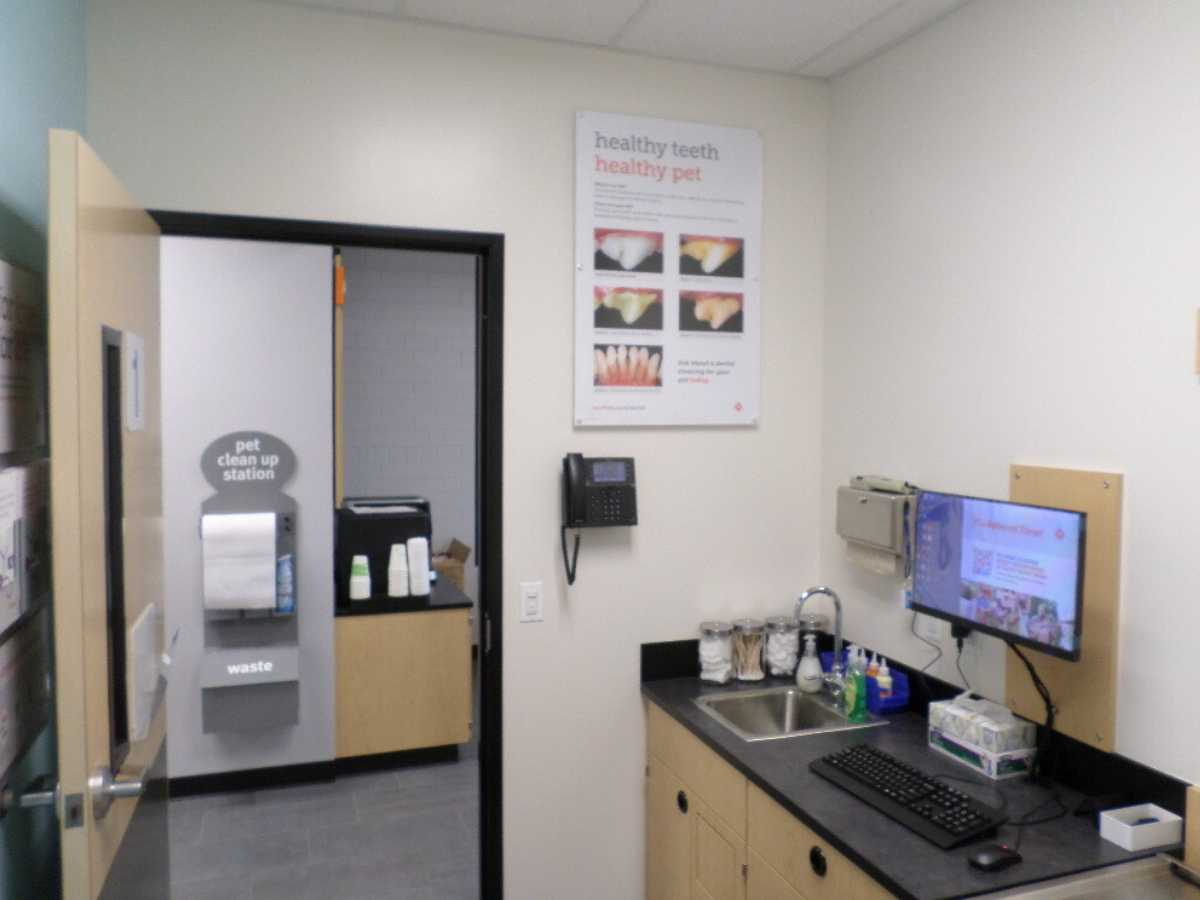 An alternate view of the Chicago Brickyard Banfield exam room