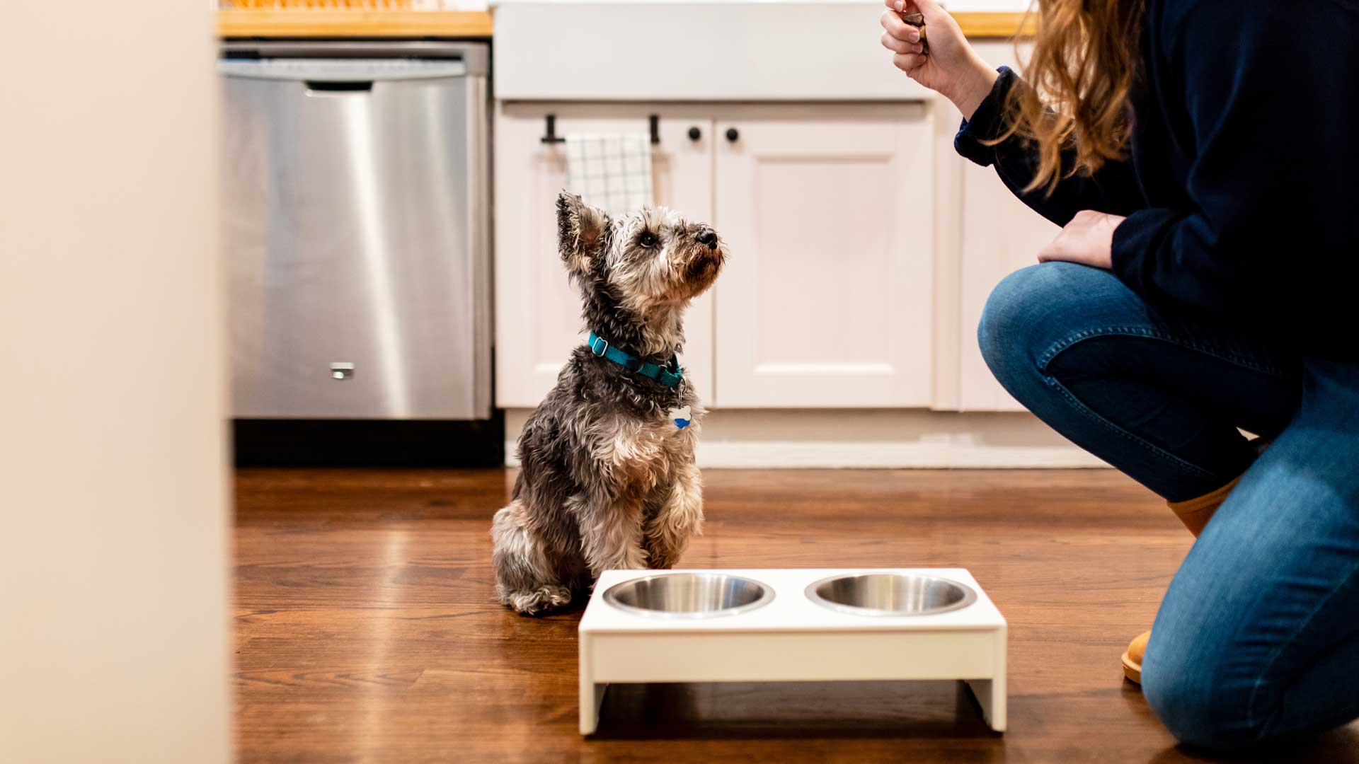 A pet owner kneels in front of a small brown and tan dog sitting next to food and water bowls 
