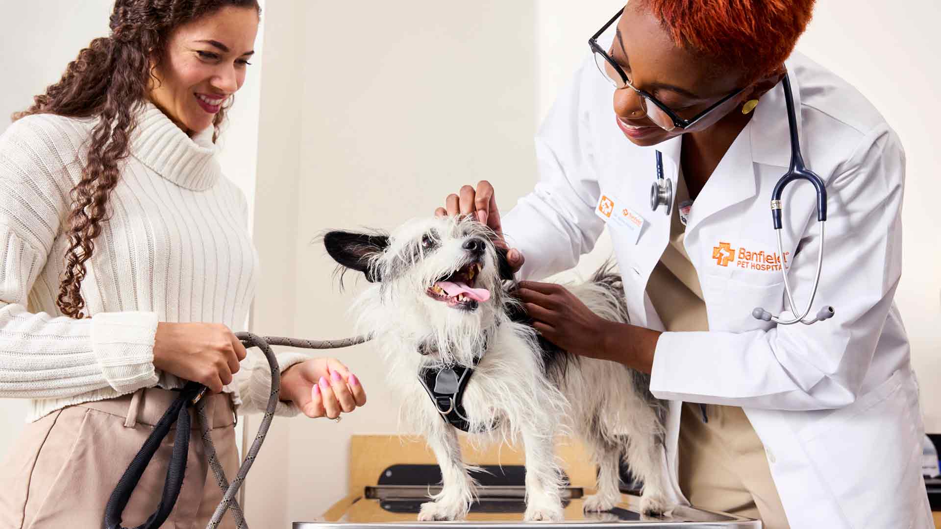 A Banfield veterinary professional examines a small dog as the owner looks on