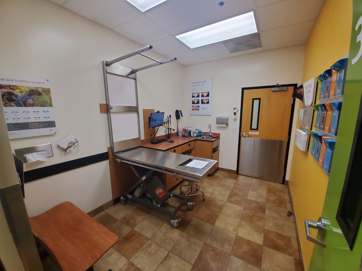 An alternate view of the Banfield - Pittsburgh Mills exam room with bench