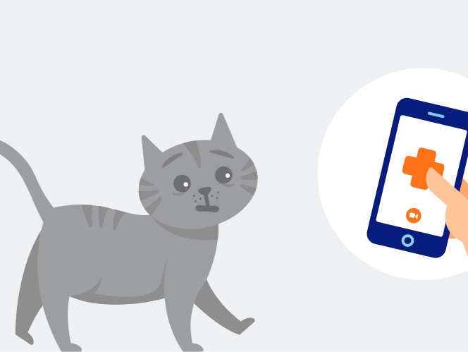 An illustration of a grey cat next to a hand holding a mobile phone 