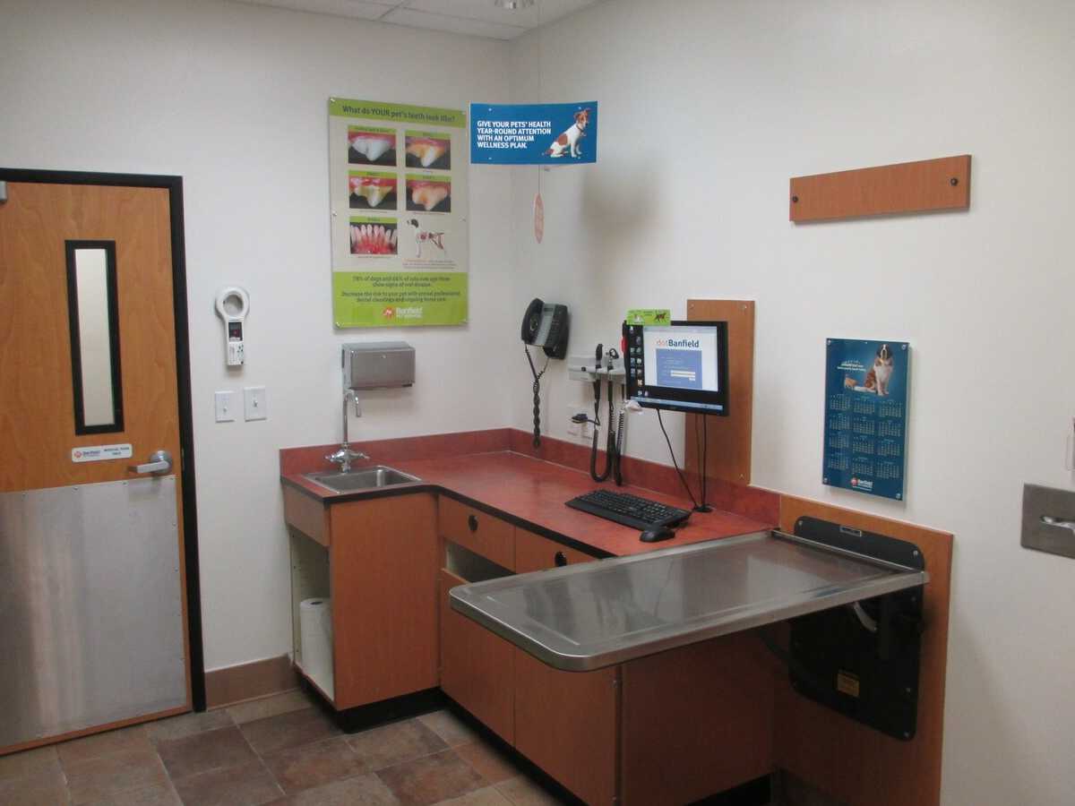 The Morehead City Banfield hospital exam room and folding table