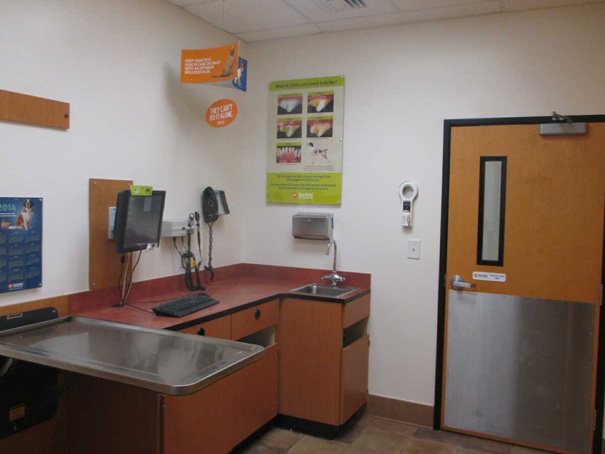 An alternate view of the Morehead City Banfield exam room and folding table