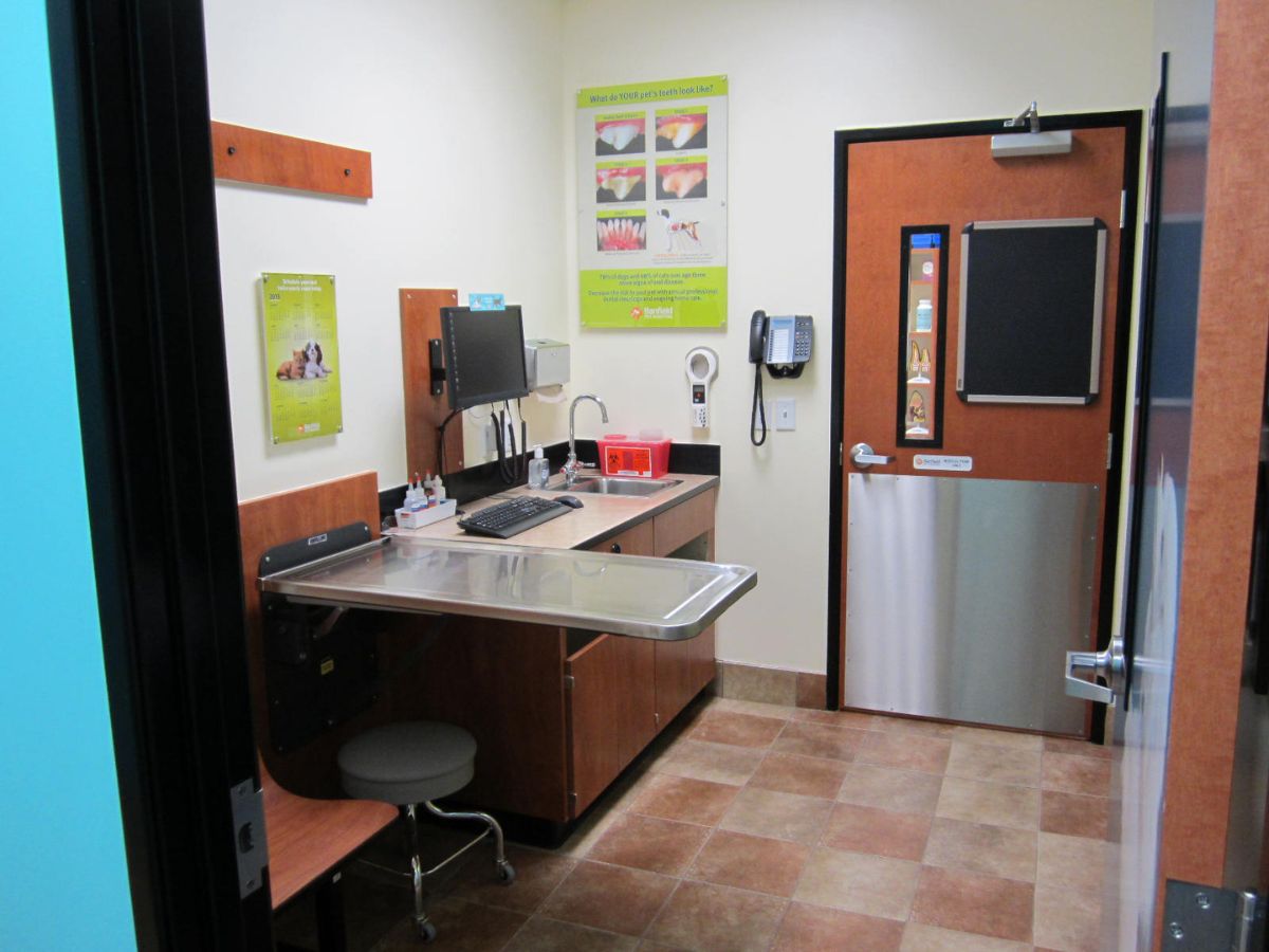 An alternate view of the Pleasant Hills Banfield exam room