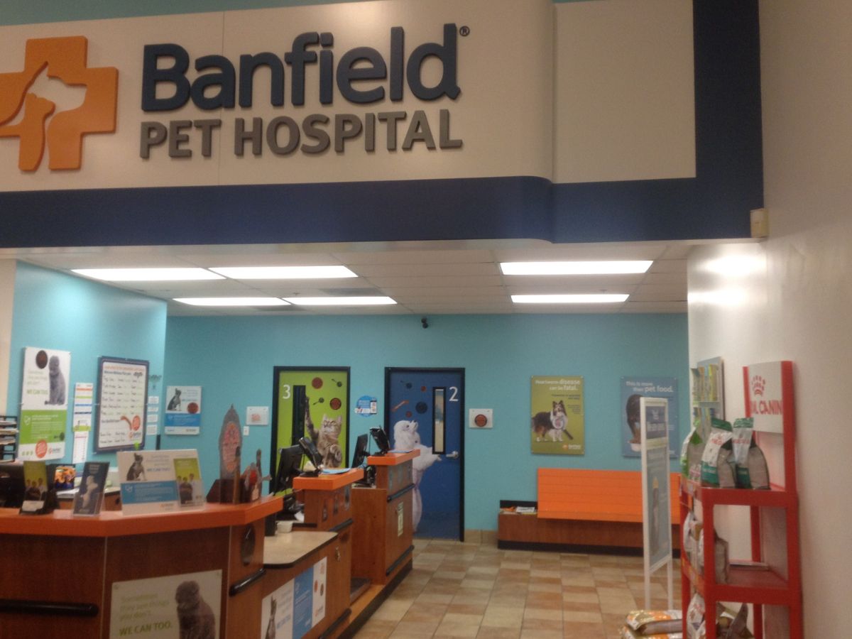 The Banfield - North Fayette Township customer waiting area