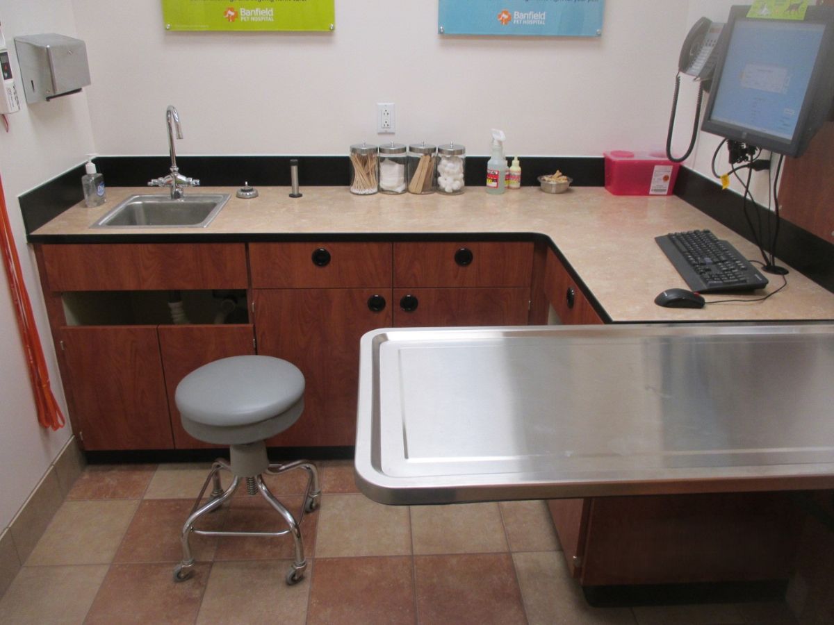 The exam room and folding table at the North Fayette Township Banfield hospital