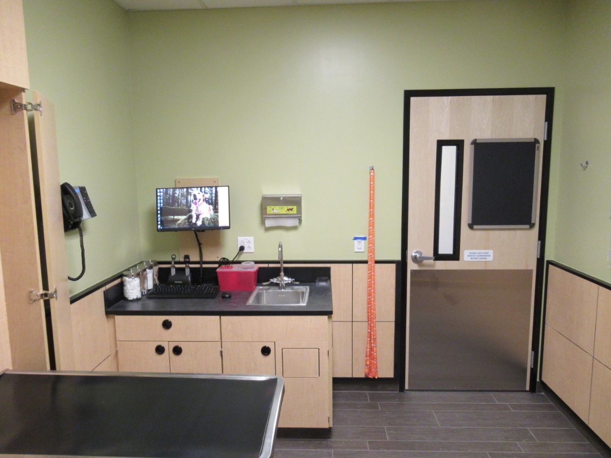 An alternate view of the Banfield - Crafton Ingram exam room and exam table