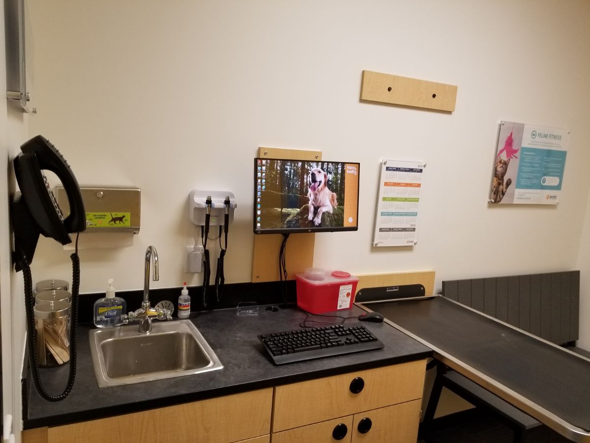 An alternate view of the Banfield - Caste Village exam room