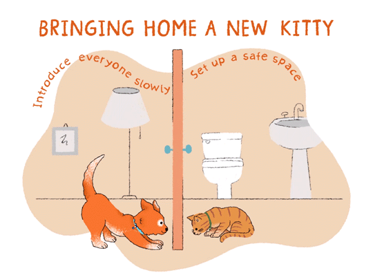 Illustration of a dog and a cat interacting through a door