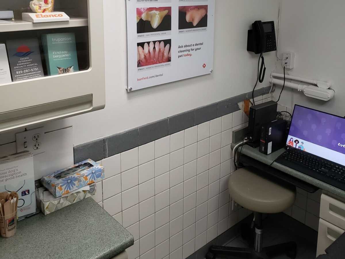 The Danville Banfield hospital exam room and computer