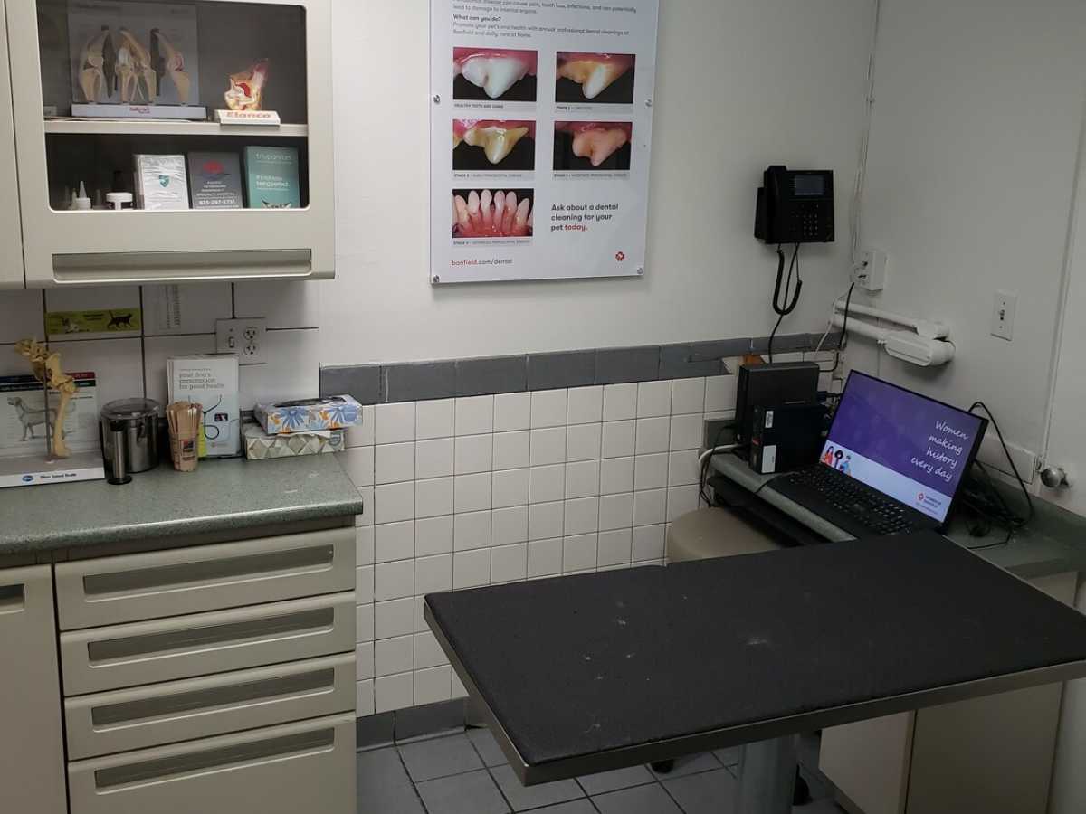 An alternate view of the Banfield - Danville exam room