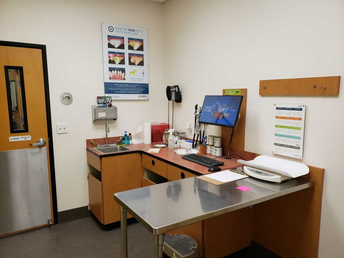 The Banfield - Fremont hospital exam room and table