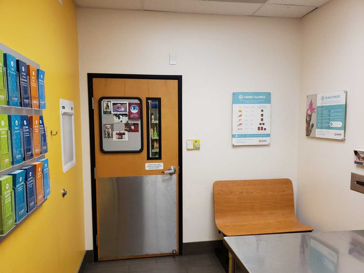 An alternate view of the Banfield - Fremont hospital exam room and table