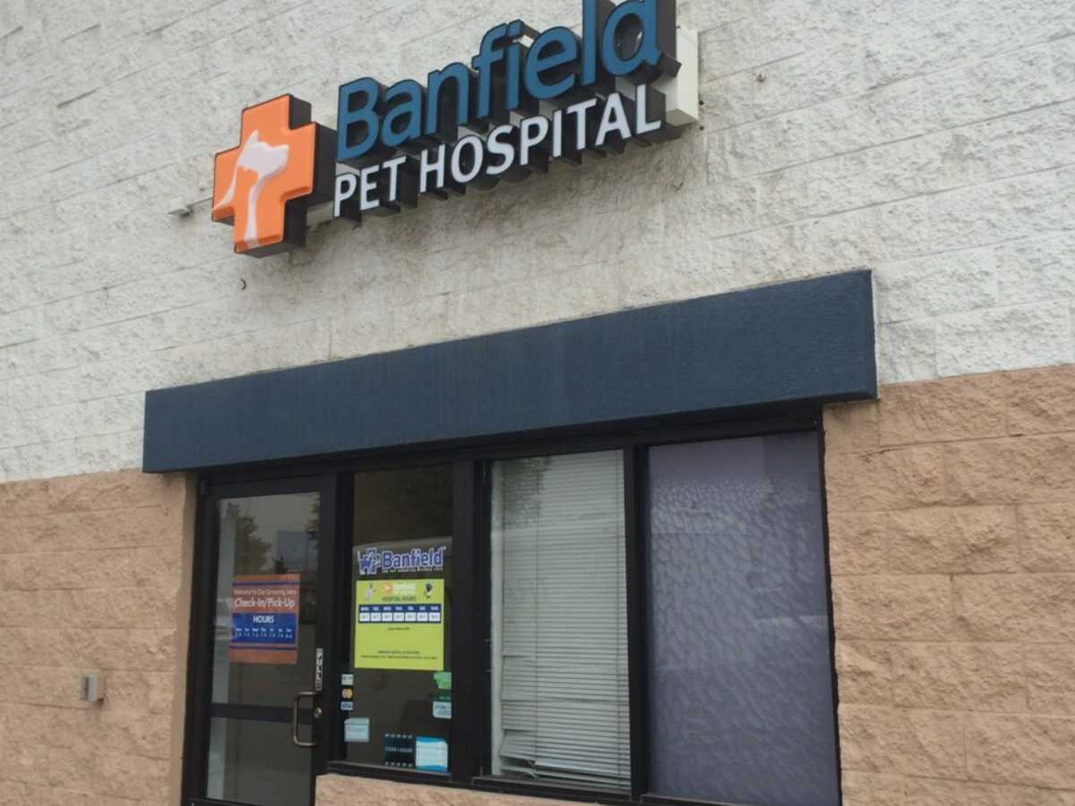 The external front entrance of the Modesto Banfield hospital