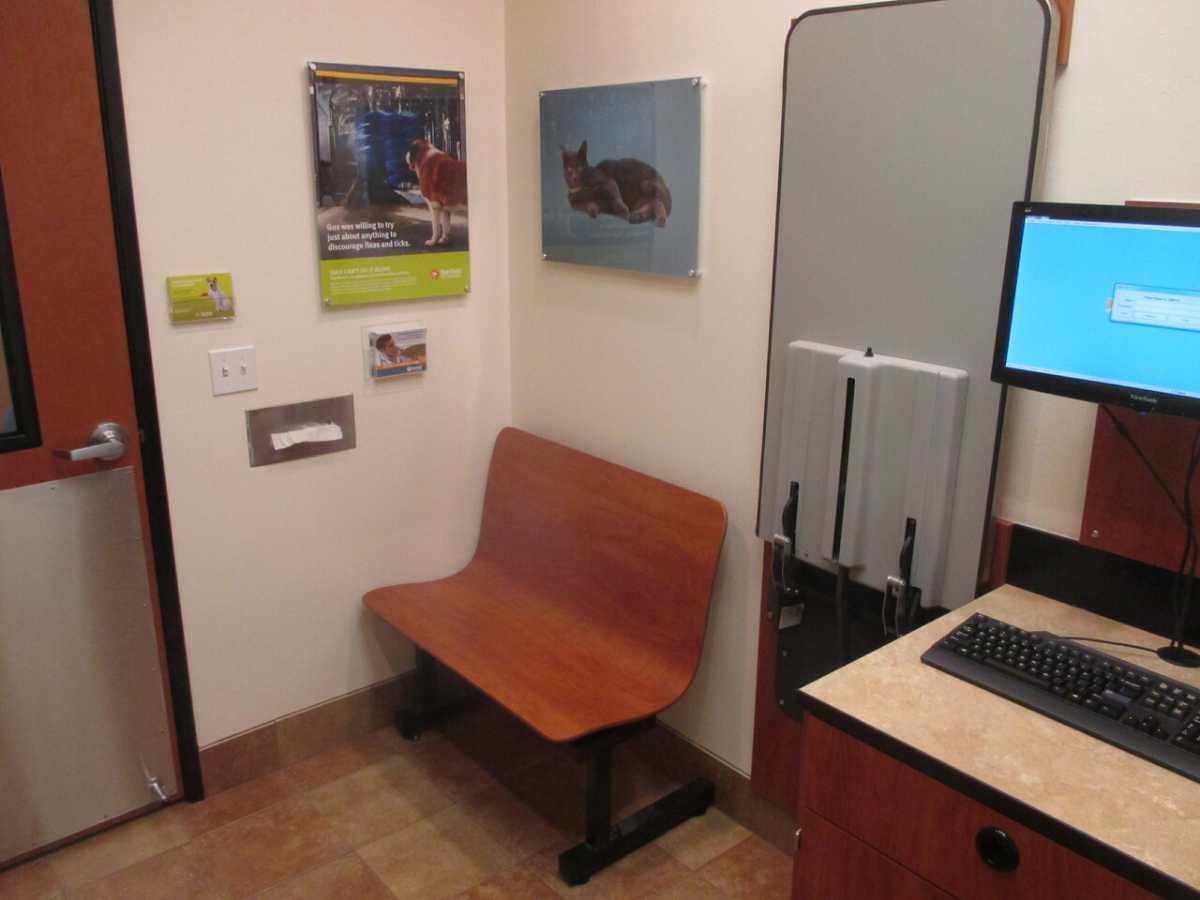 The exam room bench at the Banfield - Modesto hospital