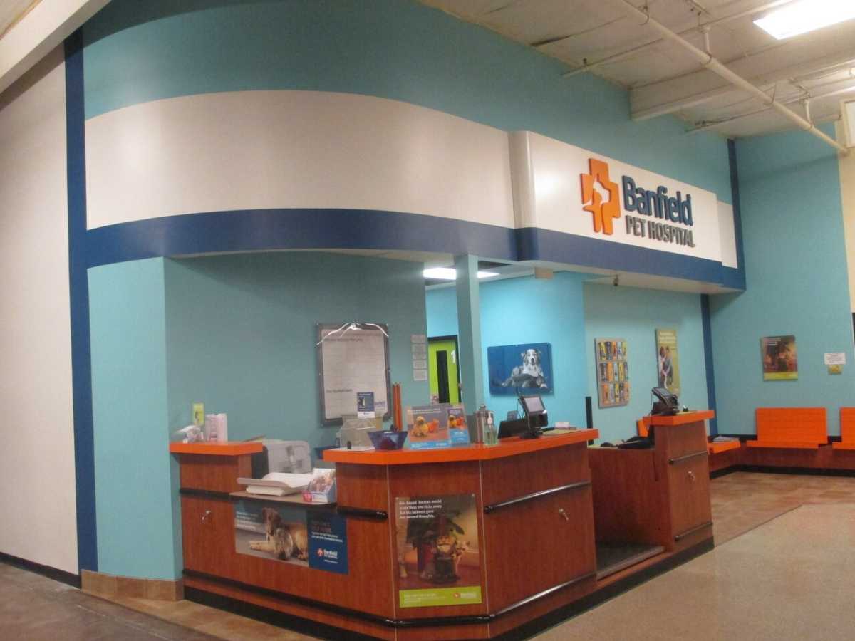 The Banfield - Modesto front desk and check-in