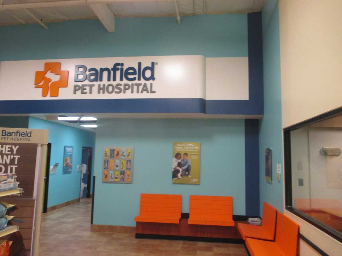 The Modesto Banfield customer waiting area