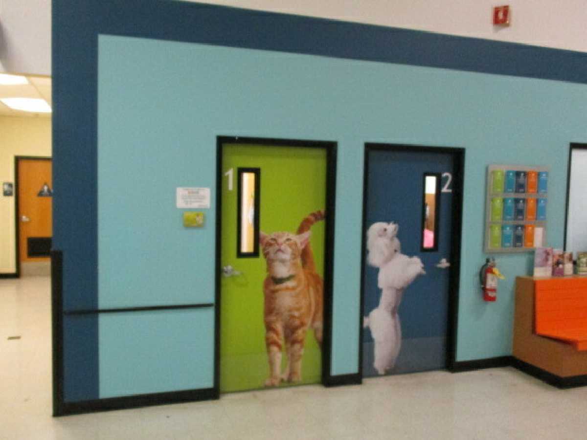 The Banfield - Tracy hospital exam room doors