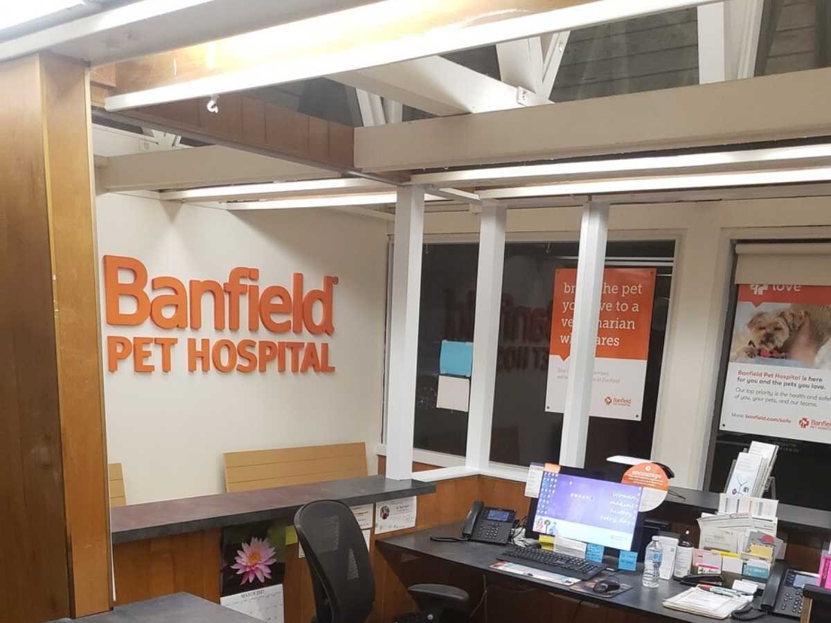 The Valley Banfield front desk and check in