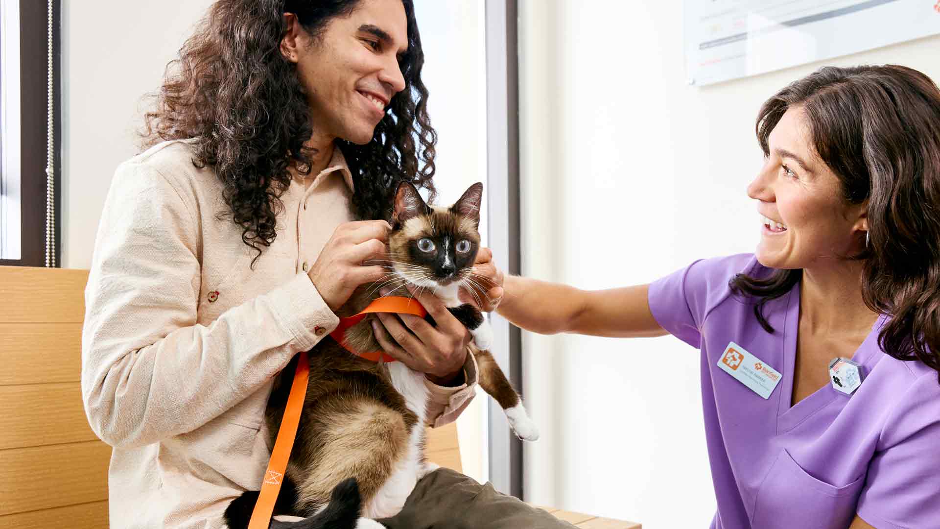 A CVT greets a man with his Siamese cat in the lobby