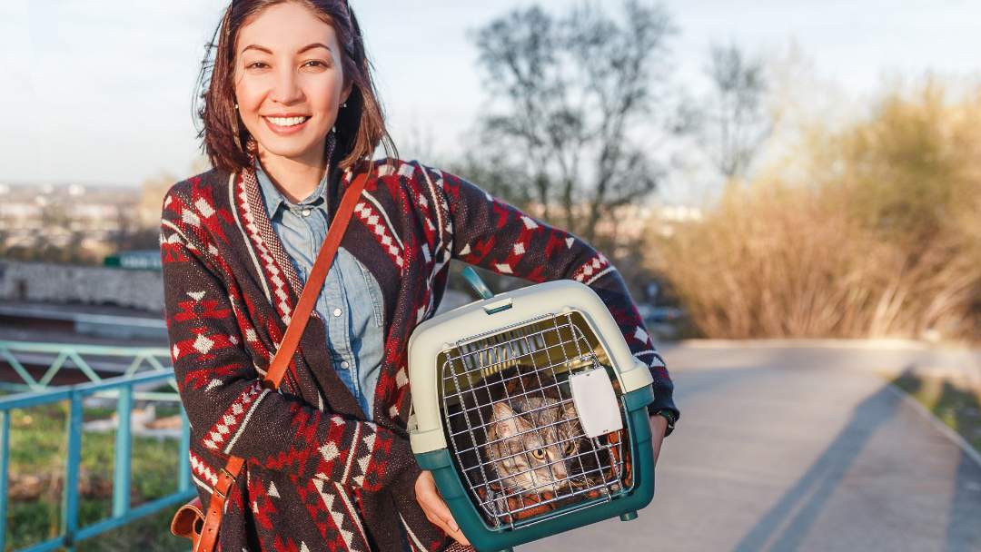 Person holding cat in cat carrier