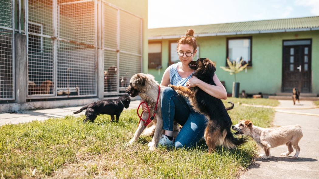 A woman surrounded by puppies