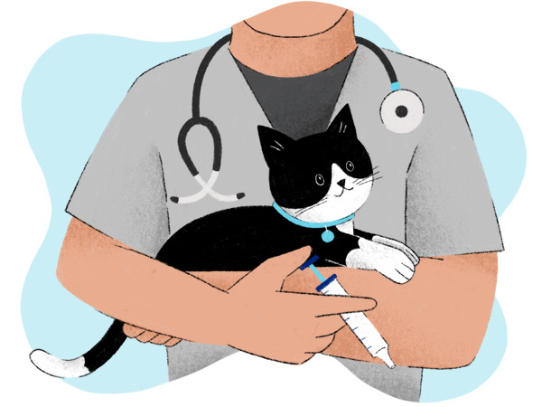 An illustration of a Tuxedo cat being held by a veterinarian