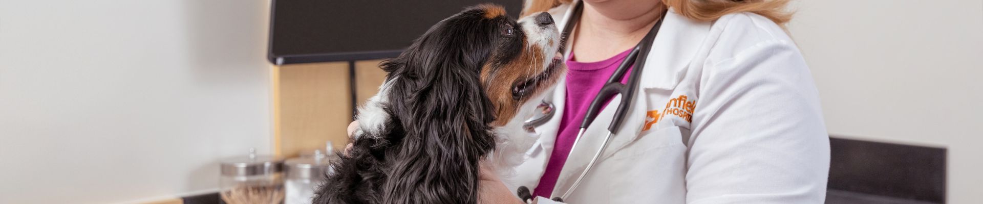 A Banfield veterinary professional petting a cocker spaniel