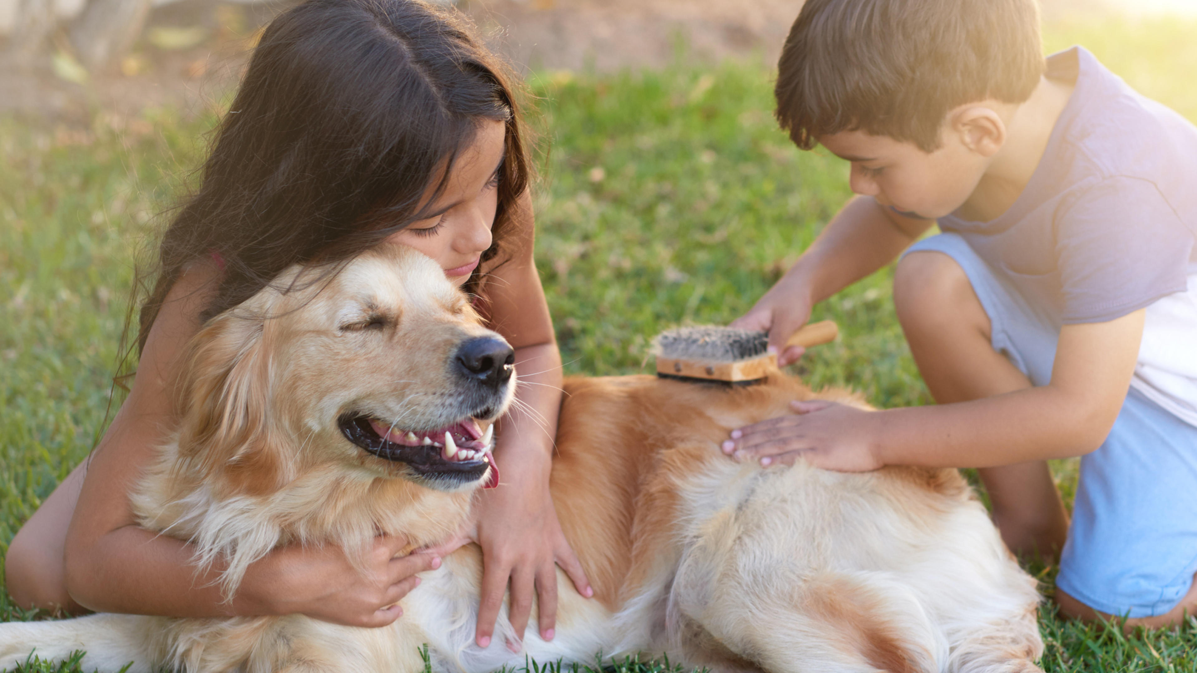Kids scrubbing Dog Hair