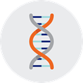 an illustration of a helix