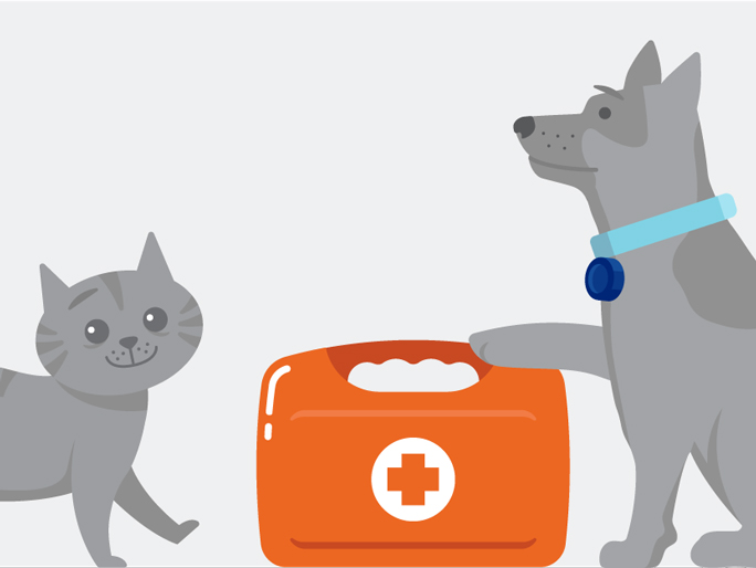 Illustration of a cat and dog by a first aid kit