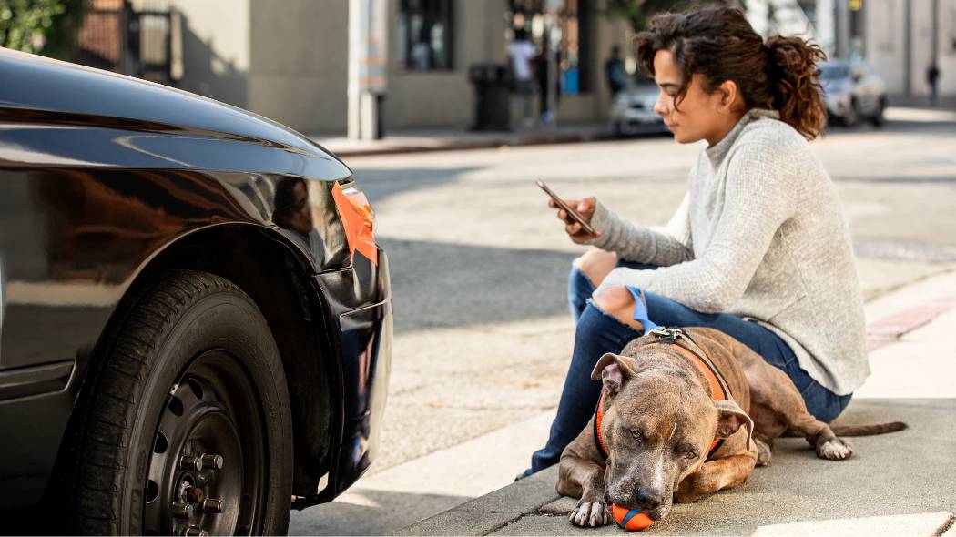 A dog laying next to its owner and a car