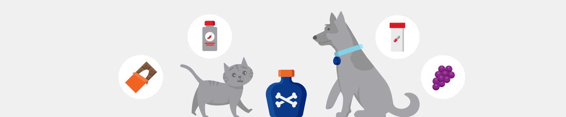 Illustration of a cat and dog by poisons